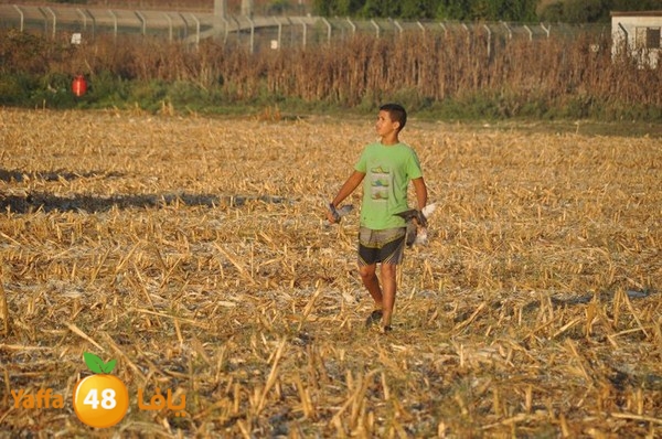 7amam lud monir 908 (35).JPG